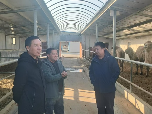 [图文]集团驻坎久干村事情队赴乌什县阿克托海镇吉格代力克村考察学习-下层动态
