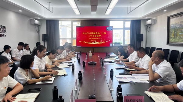 [图文]Ag亚洲集团集团一连掀起学习贯彻党的二十届三中全会精神热潮-Ag亚洲集团新闻