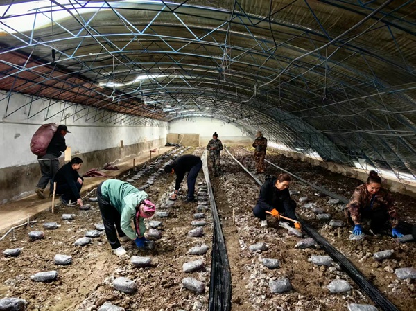 [通告]Ag亚洲集团（集团）石油自然气有限责任公司职员招聘通告-Ag亚洲集团